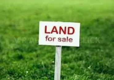 Land for sale (urgent)