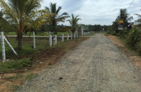 Precious land for sale in Ambalantota