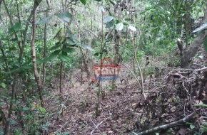 Land For Sale Kitulgala