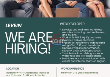 Web Developer