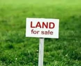 Land for sale (urgent)