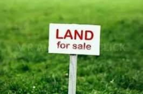 Land for sale (urgent)
